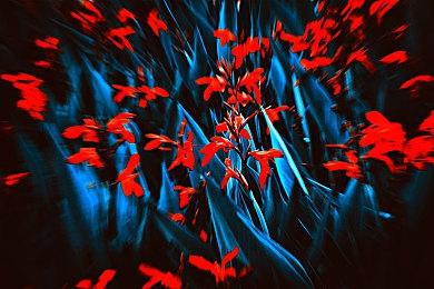 索尼收购英国开发商Firesprite 曾开发《反重力赛车HD》